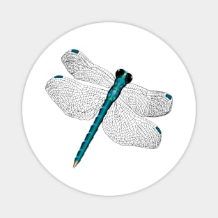 Dragonfly Magnet